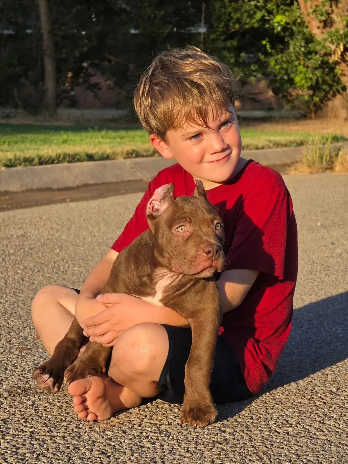 A boy sitting with a chocolate puppy