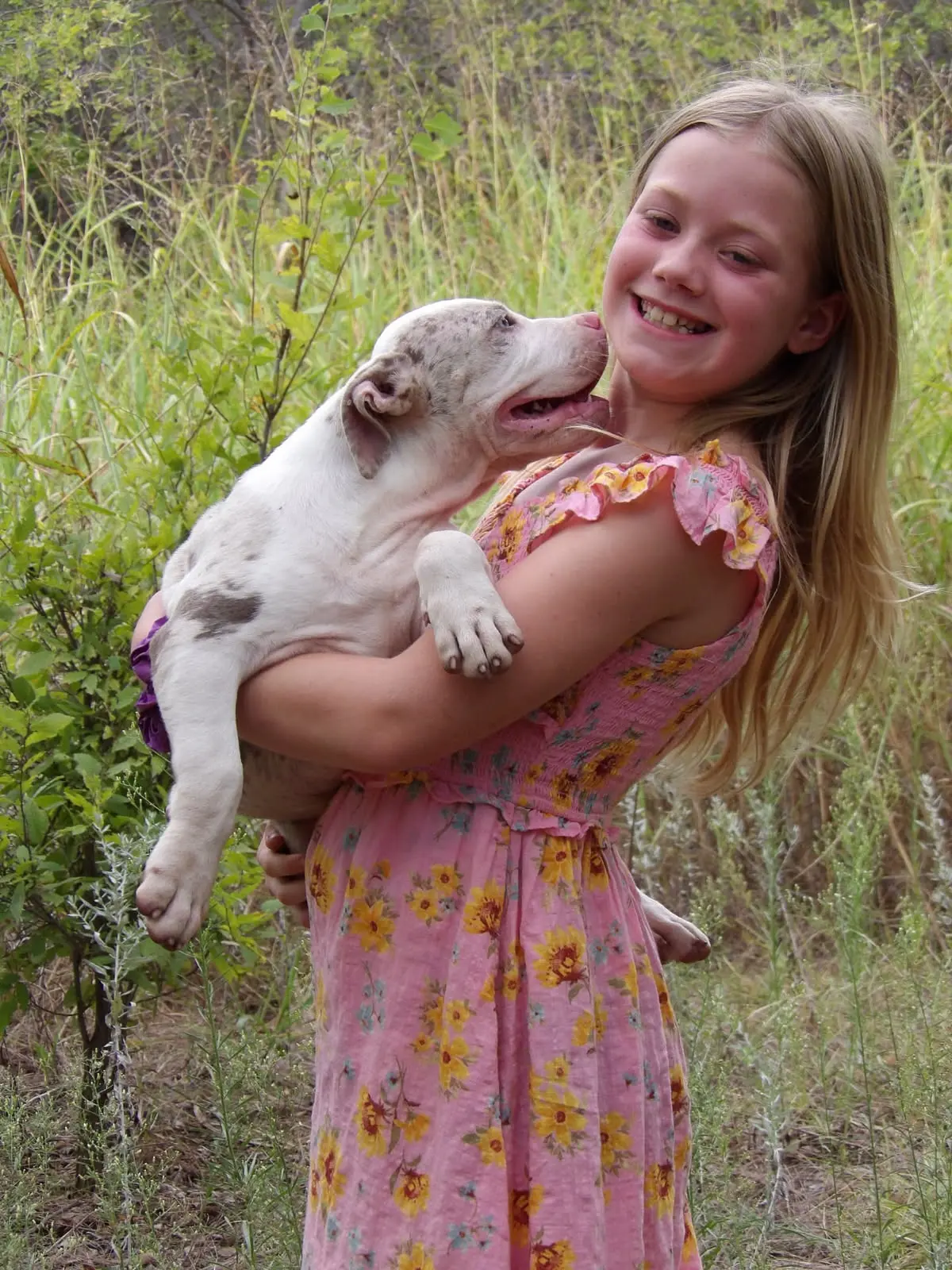 A girl hugging a puppy