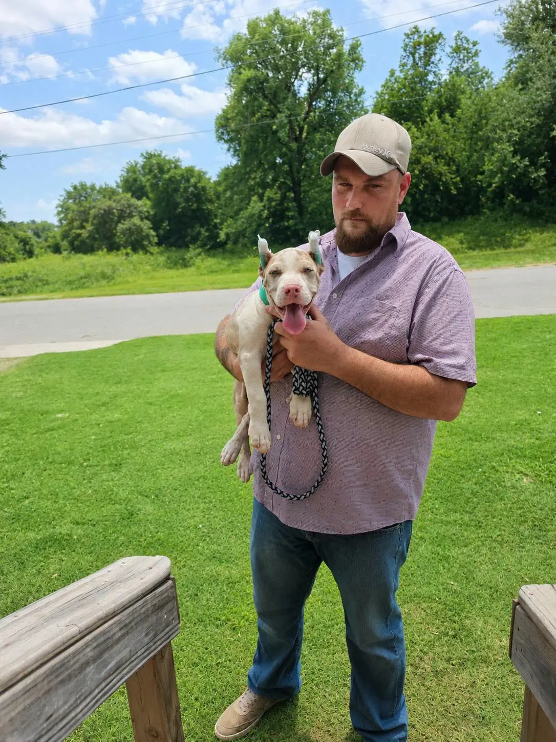 A man holding his merle puppy in the yard